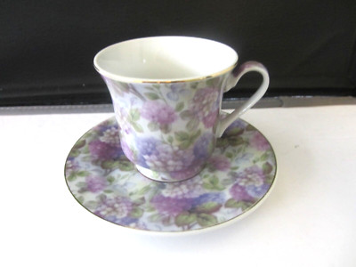 Darice Fine Bone China, White, Pink Wild Roses, Tea Coffee Cup Saucer 8 oz (455)