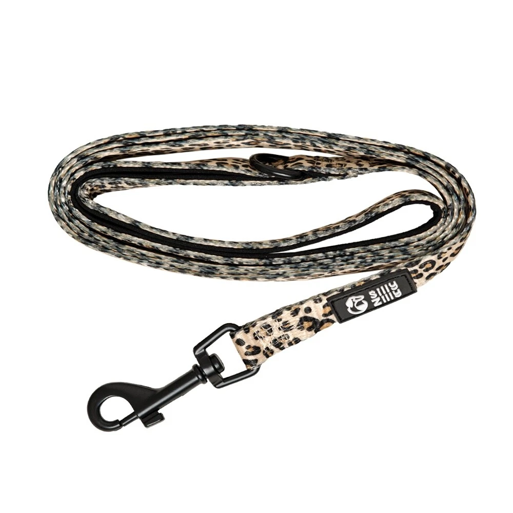 Dog Harness & leash matching set