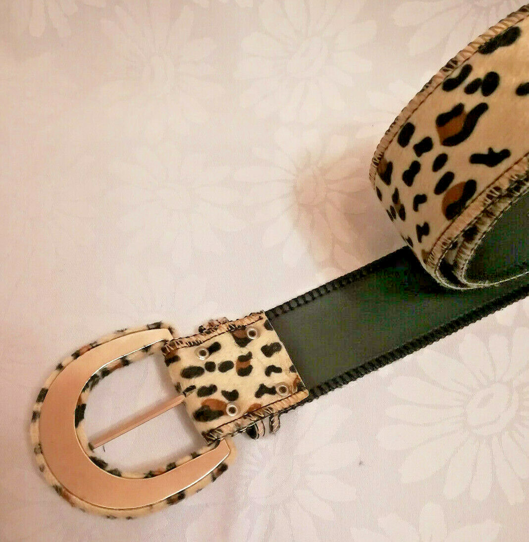 Picture 6 of 11