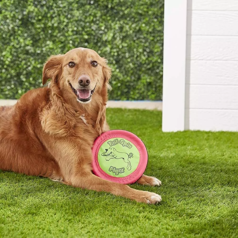 Soft bite floppy disc for dogs hotsell