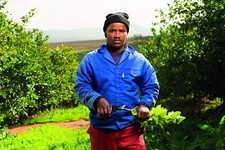 Pruning shears - High-performance Swiss-made one-handed garden pruning shears