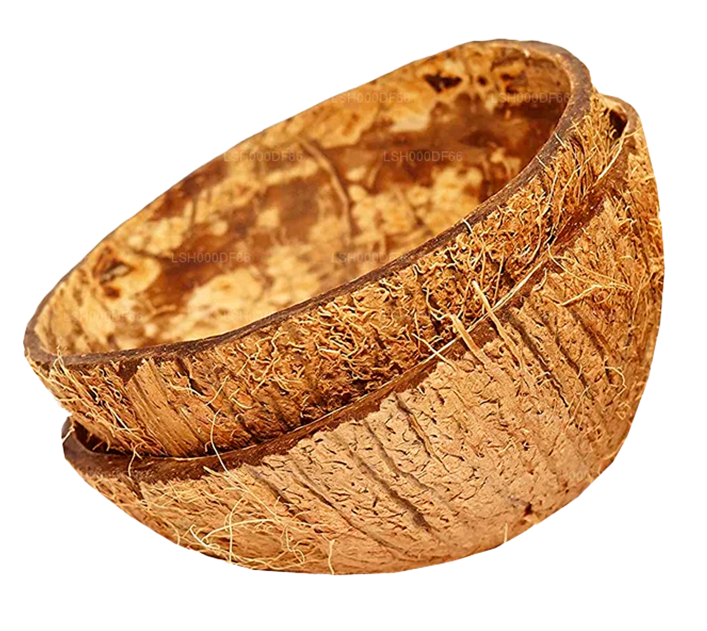Coconut Shell Halves Eco friendly Ceylon 100% Natural pure coconut ...