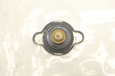 Polaris Xpress 400 2x4 96 Radiator Cap 2511189 53211