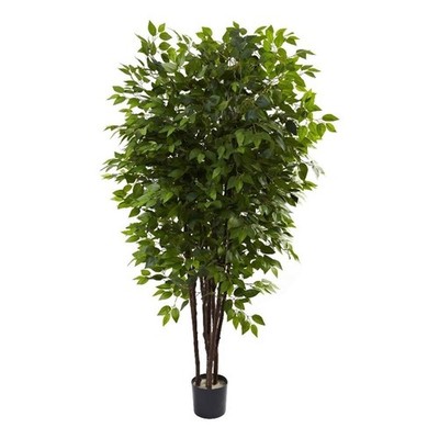 Pemberly Row 78'' Deluxe Ficus Tree with 2500 Leaves in Green/Black