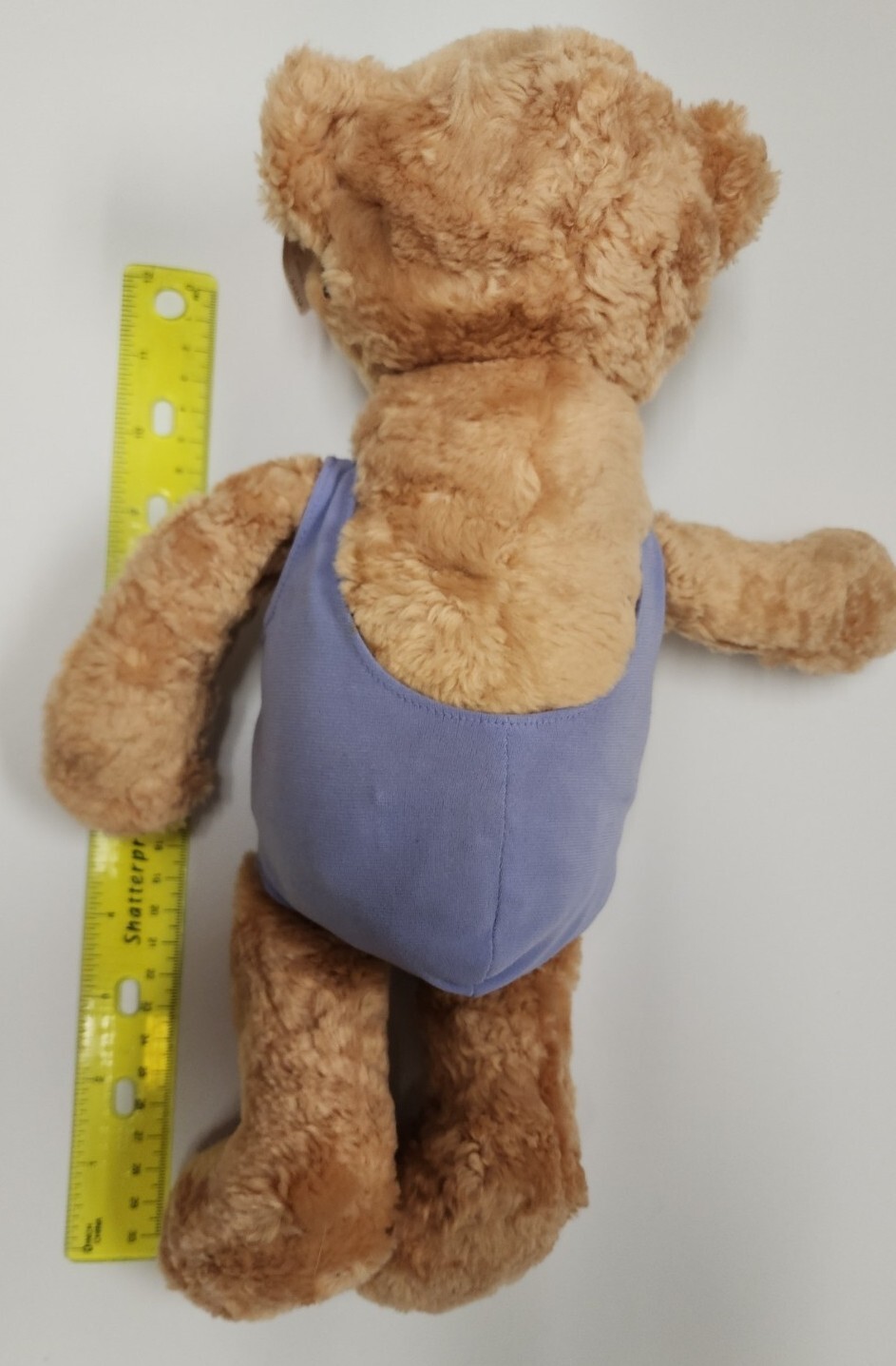 Gund Stuffed Plush Bear Purple Bathing Suit Sunglasses Swimming 14" #41314