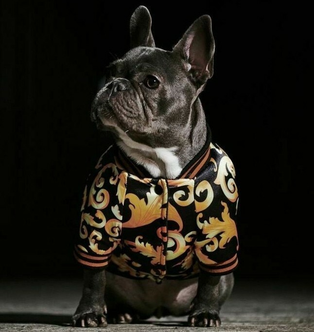 French Bulldog Hoodie Dog Clothes Warm Sport Cozy Patterned Pet