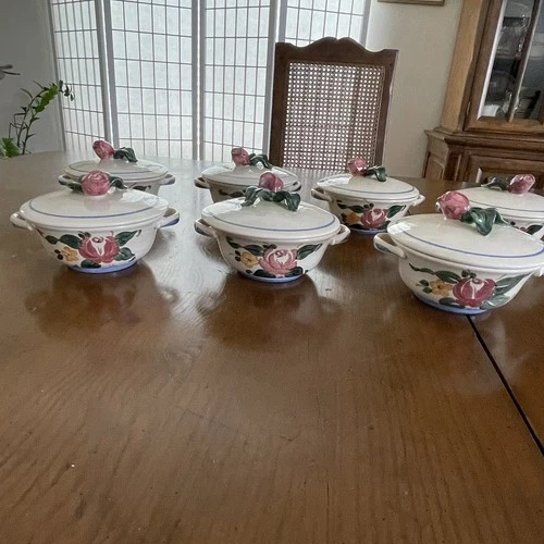 Red Wing Pottery Orleans Soup Bowls 7 Covered Dishes Rose Hand Painted Casserole