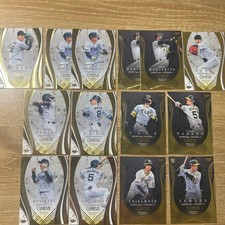 [OBO/MSG]Hanshin Genesis 14 Pieces Sold In Bulk Teruaki Sato Shota Morishita