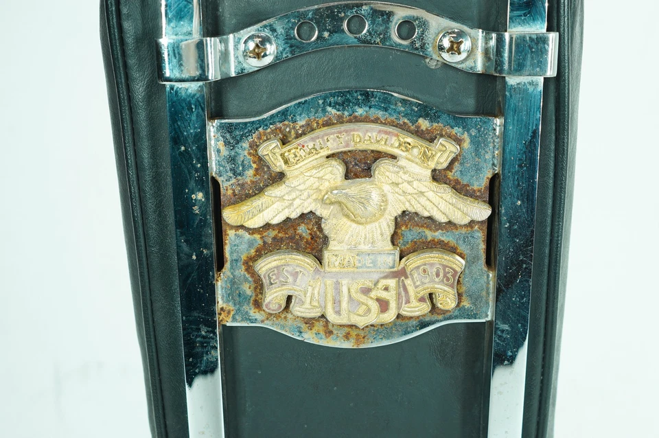 1994 Harley Dyna FXDWG Wide Glide OEM barra traseira Sissy com almofada de encosto - Imagem 2 de 4