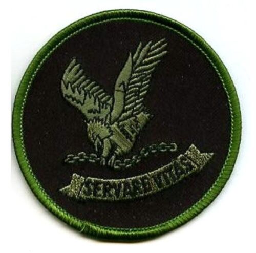 KANDAHAR FBI SERVARE VITAS HOSTAGE RESCUE TEAM HRT AFGHAN TEAM velkrö INSIGNIA - Afbeelding 1 van 3