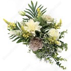 Bild 6 von 6