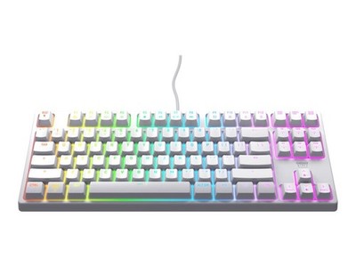 CHERRY XTRFY K4V2 Keyboard RGB 80% TKL backlit USB CX-K4V2-RGB-TKL-R-PO
