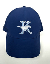 Nike Dri-Fit Swoosh Legacy 91 Hat Blue K Stretch Cap