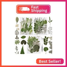 CONVELIFE 63 Pcs Pressed Leaves, 21 Styles Dried Flowers for Resin, Natural Dry