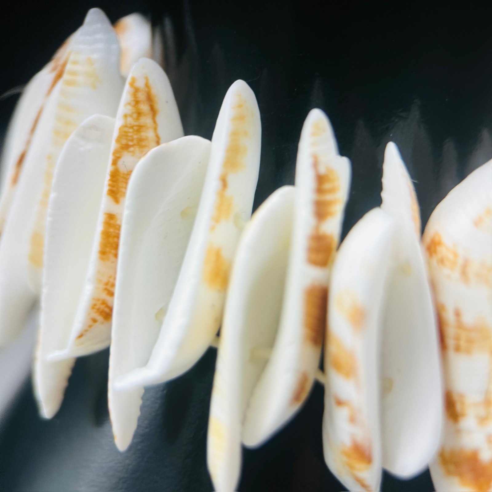 Natural Shell Disc Stretch Bracelet Beachy Boho Summer Style