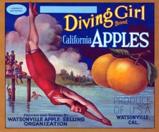 CRATE LABEL DIVING GIRL BRAND CALIFORNIA APPLES LAKE SWIM VINTAGE POSTER REPRO