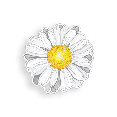 White Daisy flower Sticker Sun Cup Cooler Laptop Car Vehicle Window Bumper Decal