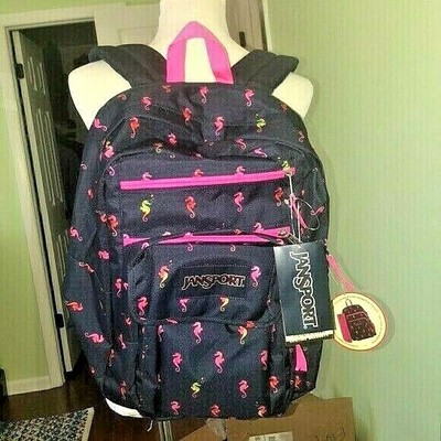 backpack with removable laptop sleeve