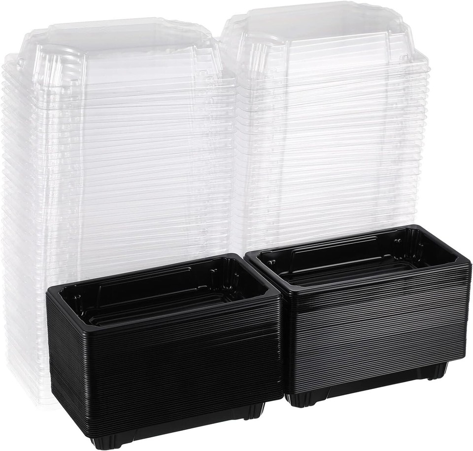 50 PIEZAS Caja de sushi negra desechable con tapas transparentes - Contenedor de sushi/pastel para llevar