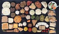 (65+) HUGE NASCO Life Form Replica Food Hyper Realistic Nutritional Display LOT!