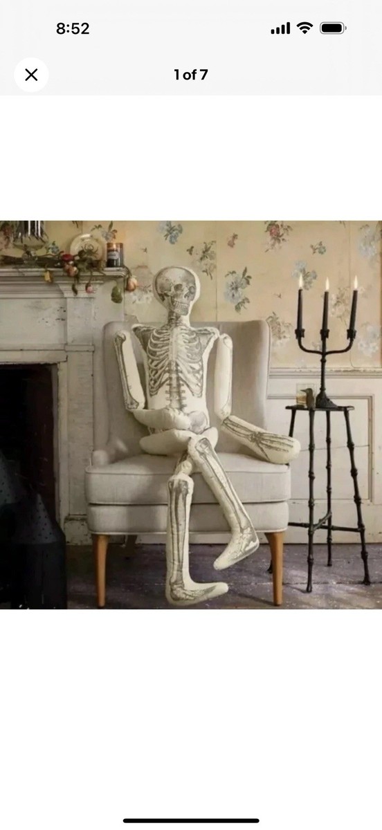 John Derian x Target Skeleton Pillow Long Lost Friend Halloween