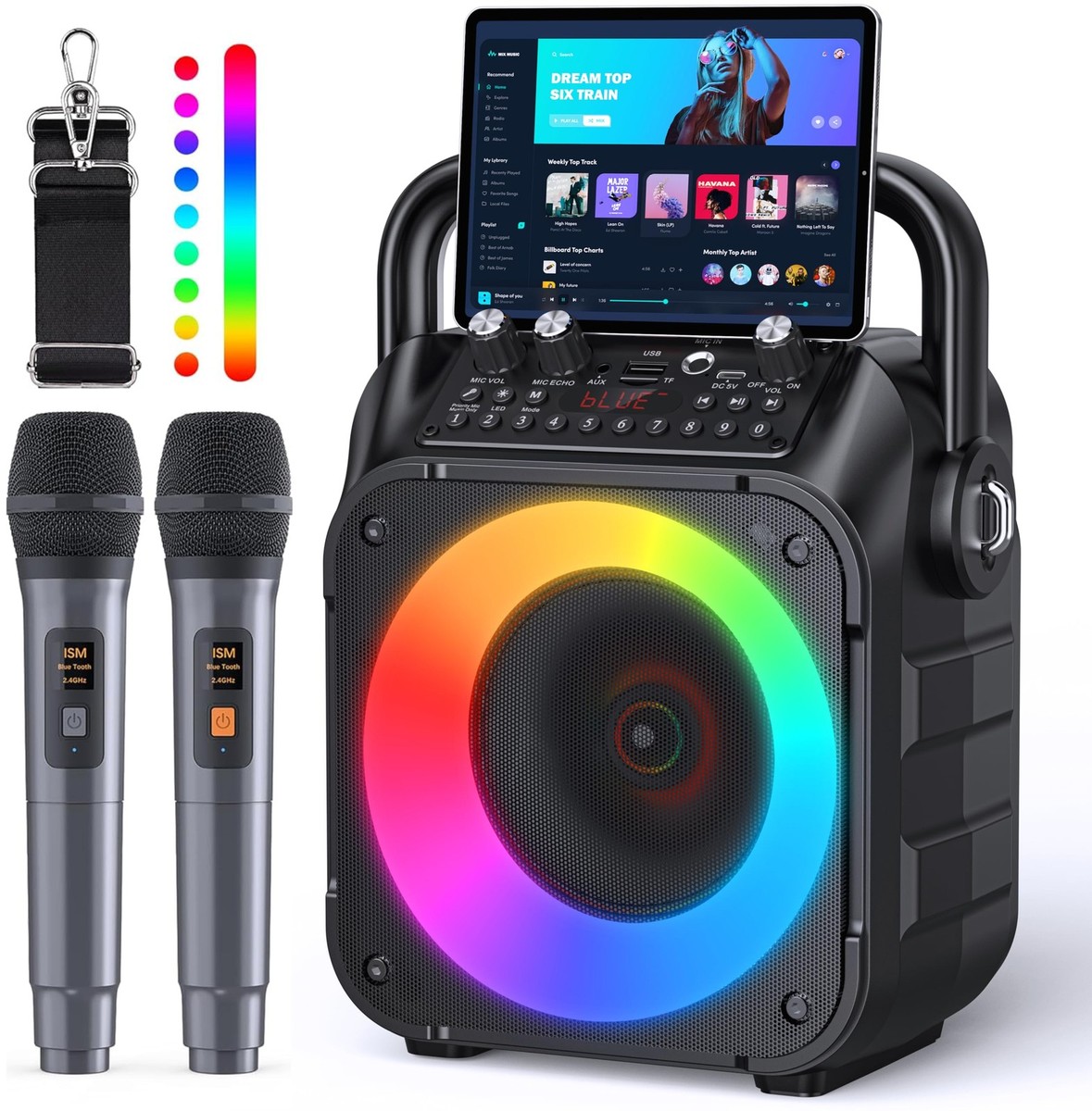 Karaoke Machine Portable Bluetooth Speaker with 2 Wireless