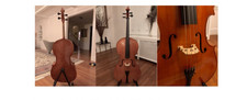 Student Cello, 4/4 Full Size, Eastman, Beautiful Tone