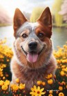 Australian Cattle Dog Red Springtime Flag