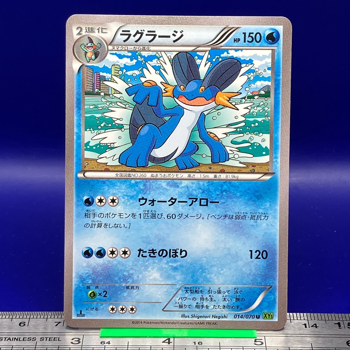 Swampert Pokemon Card 1st Ed 014/070 XYS 2014 Nintendo TCG