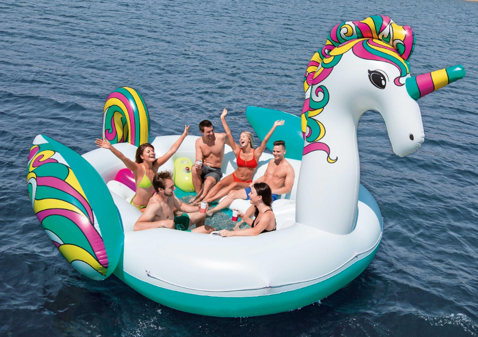 6 person unicorn float