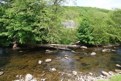 Photo A3 The River Kent below Staveley Cowen Head In the trees opposite  c2013