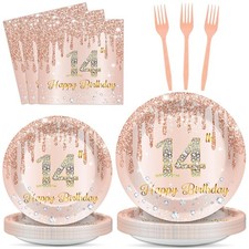 96 PCS Rose Gold 14th Birthday Party Plates Napkins Girls Supplies Serve 24