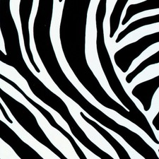 Klebefolie - Möbelfolie Zebra schwarz weiss  45 cm x 200 cm Wildlife Dekorfolie