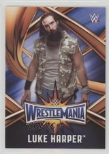 2017 Topps WWE Road to Wrestlemania 33 Roster Mr Brodie Lee Luke Harper 1i3