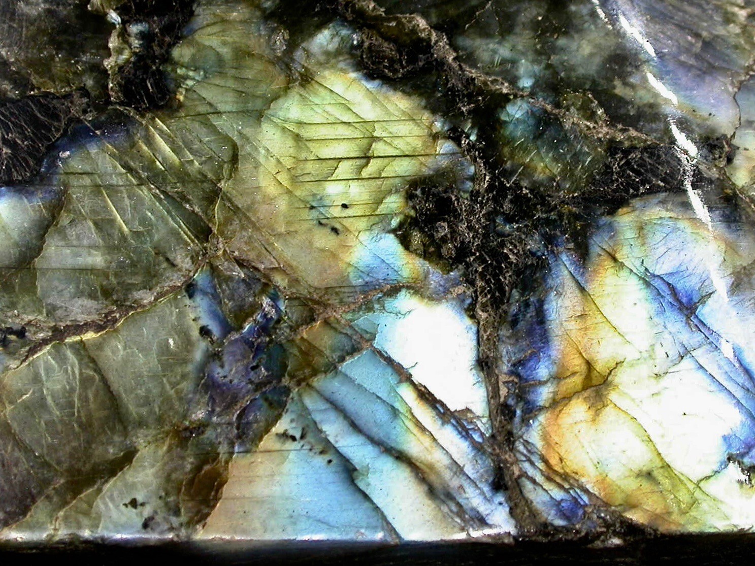 Foto 1 di 6