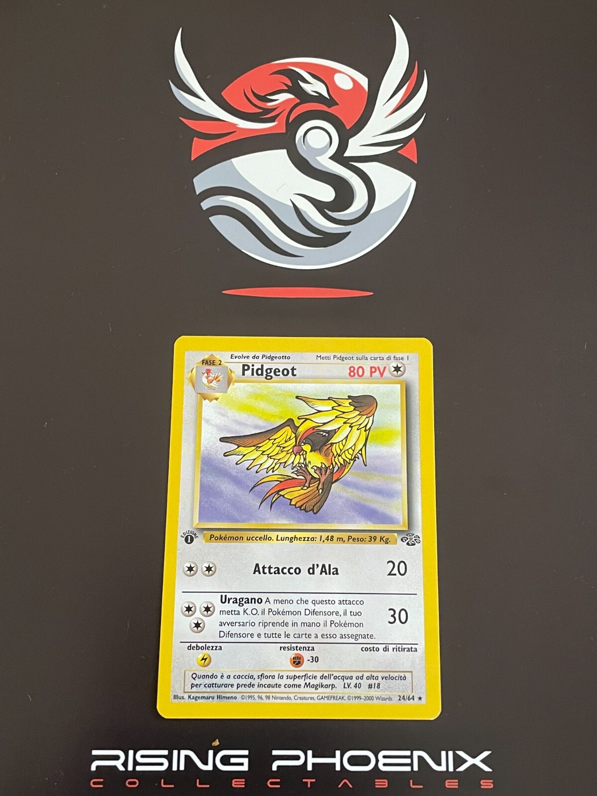 Rising Phoenix Pokemon - Pidgeot 24/64 1st Ed Jungle Rara Ita Near Mint #0406