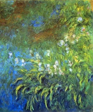 Claude Monet Iris at Sea Rose Pond Giclee Print on Canvas 8x10 Impressionist Art