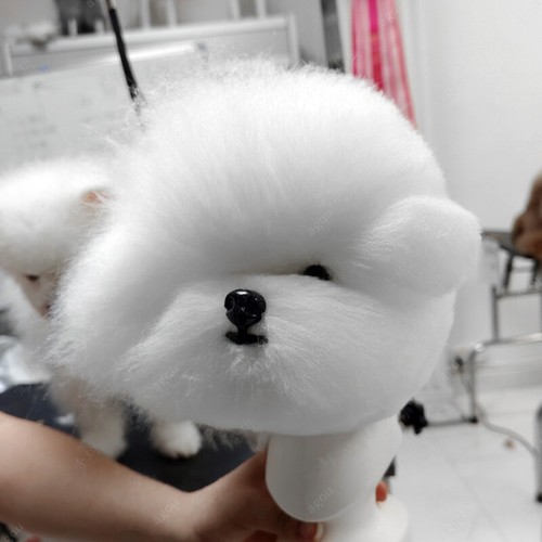 Pet Simulation Hair Beauty Practice Poodle Dog Teddy Dog Whole Body Fake Hair - Picture 14 of 24