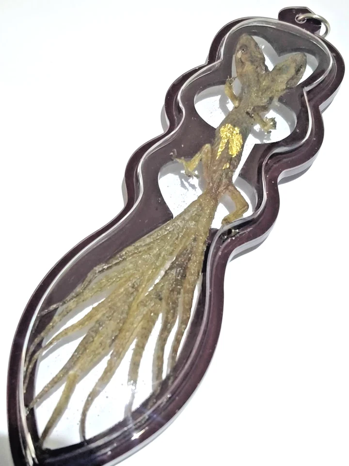 Тайский амулет Jing Jok 2 Head 9 Tail Magic Wealth Success Fortune талисман удачи - Изображение 2 из 4