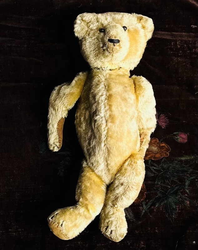 16” Antique 1910-1912 American Mohair Teddy Bear Jointed Long Torso Excelsior