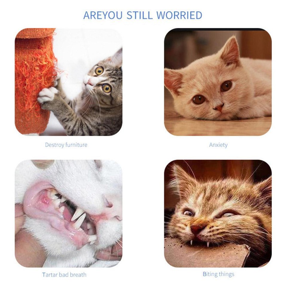 Cat Toys Ball and Feather Rubber Material /Squeaky Mouse Pet Cat Mice