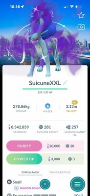 Shadow Suicune ( XXL ) ( Tokyo GO Fest Background ) Pokémon Trade GO