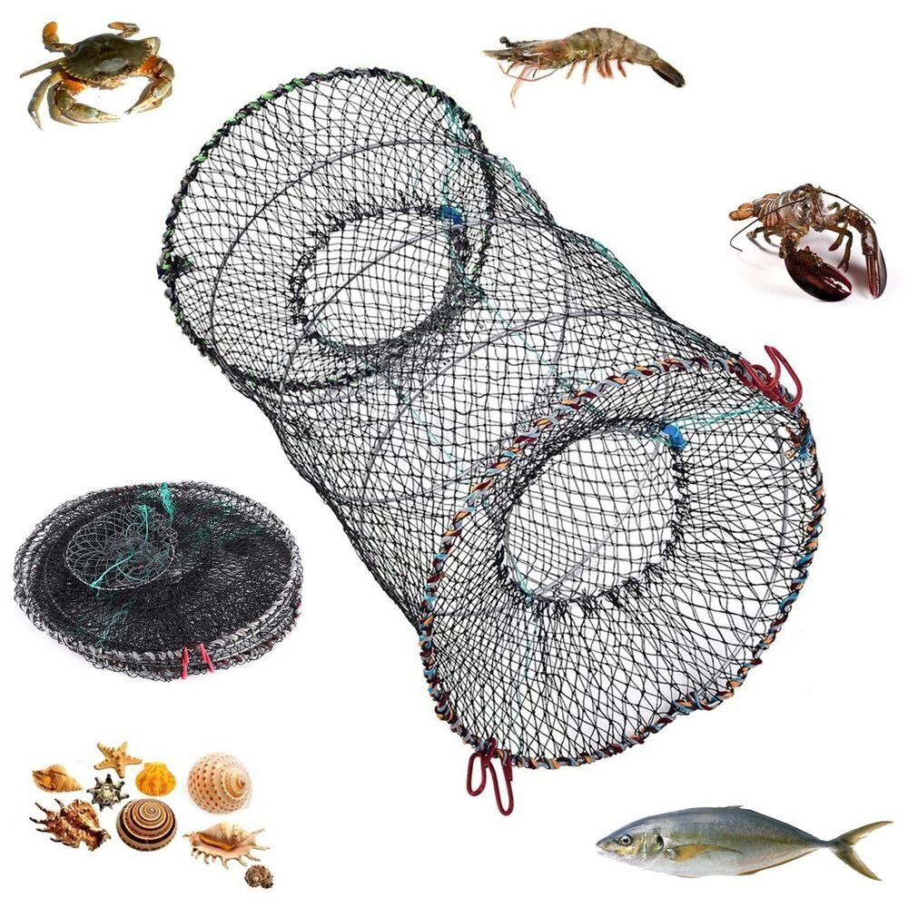 deck box for fishing pole StoreYourBoard Garage Organizer Holds 10 Fishing Rods, Tackle Box, Poles, Space-Saving Fishing Rod Rack with Shelves, 35 in x 17.75 in x 17.75 in : Sports & Outdoors dxf flag class Aluminum Dock Size:3600 4-Pack ‼️Dobyns Champion XP DC