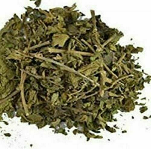 Gurmarpata/Gudmarpata/Gymnema Sylvestre/Merasingi Dried Leaves-Black Friday Sale - Foto 2 di 3