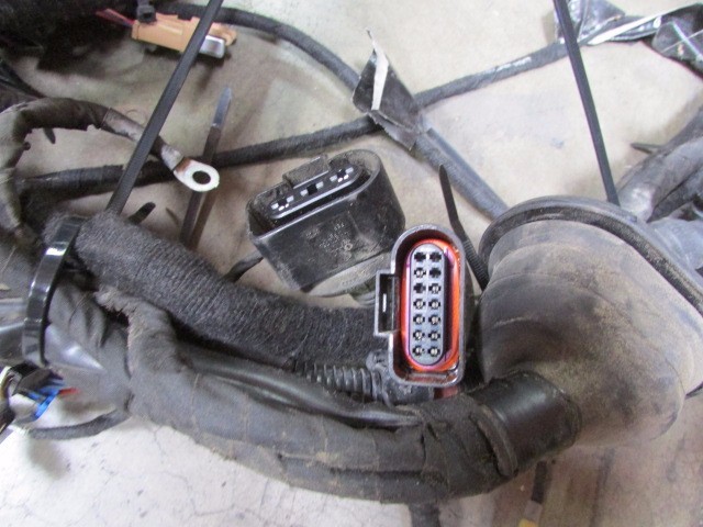 Lamborghini Gallardo, Main Body Wire Harness, Used, P/N 401971135