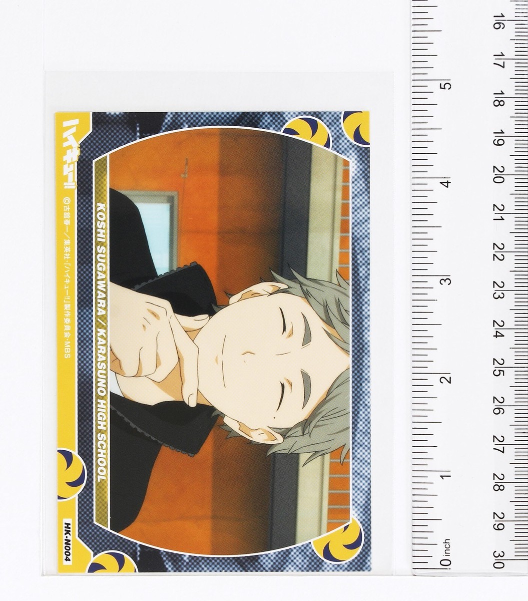 Haikyu!! Pictures Collection Card No.04 Koshi Sugawara Karasuno