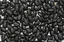 Bean Black Turtle Bean Seeds ,"COOL BEANS N SPROUTS" Brand. Home Gardening.