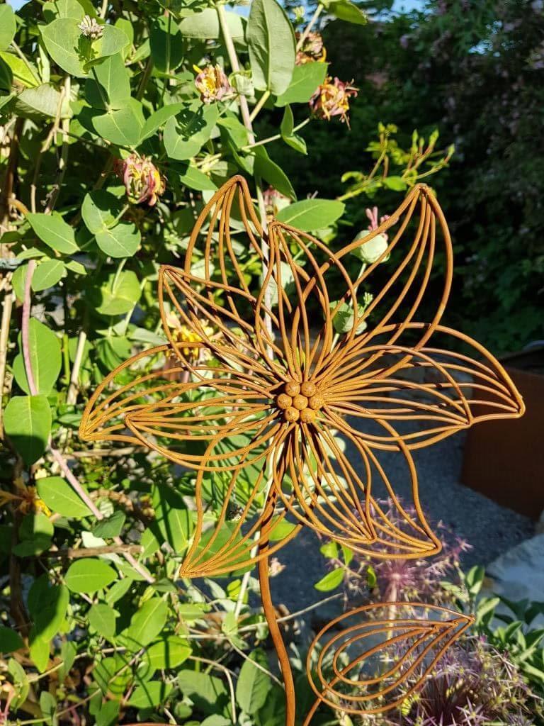 Foto 1 di 4