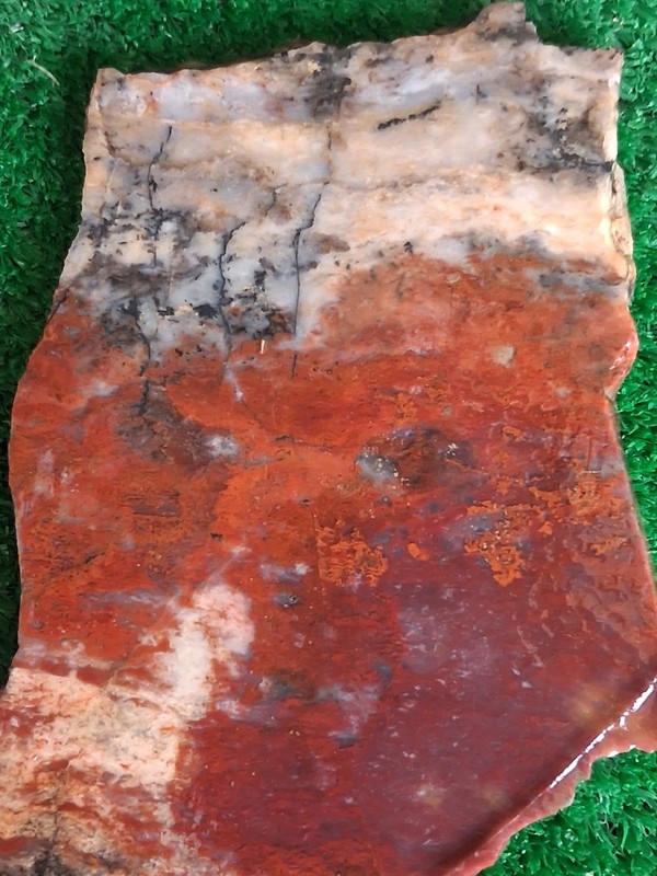 Rough Slab Mexican Agate 177g. 1/4" Thick Lapidary Cabbing #FR-1