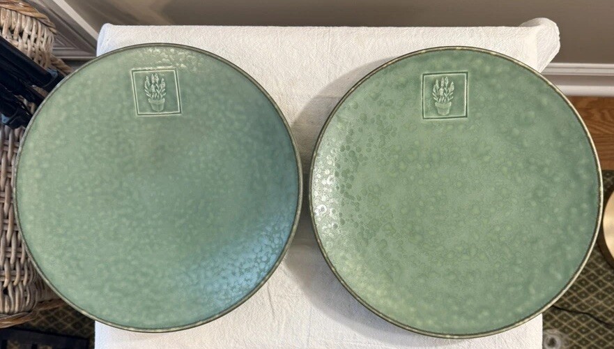 Pfaltzgraff Naturewood Serenity Green 11 1/8 Inch Dinner Plate Dragonfly Set of 2